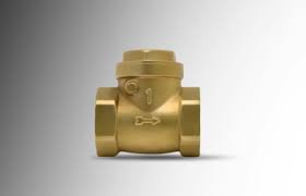 Non Return Valve