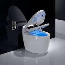 Smart Commode (101)
